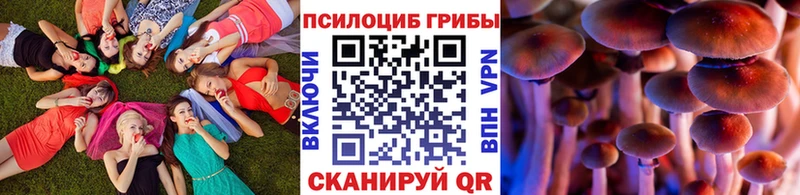 Галлюциногенные грибы GOLDEN TEACHER  МЕГА ТОР  Звенигово 